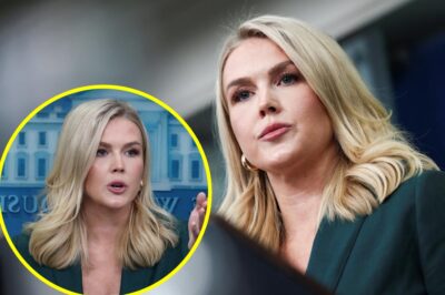 ‘NO REPORTER IS THAT STUPID’ Leavitt’s Fiery Clash With CNN Reporter Over Signal Leak Question