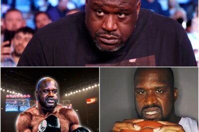 VIDEO: Internet Goes Wild After Shaquille O’Neal Gets Punched In The Face – You Won’t Believe Who Did It