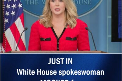 JUST IN White House spokeswoman MOCKED for ‘WEARING MADE IN CHINA DRESS’