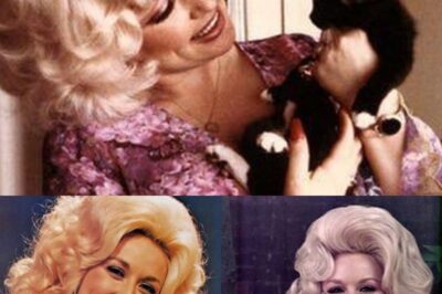 Veterinarians Sound Alarm Over “Dolly Parton Syndrome” In Cats And People Can’t Stop Laughing