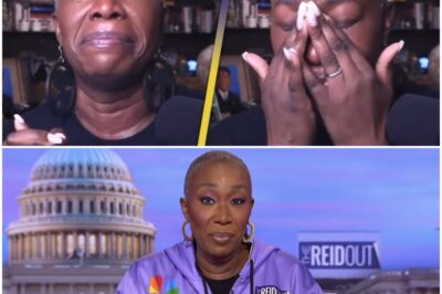 EXCLUSIVEJoy Reid created a BIG PROBLEM for MSNBC executives by sharing damning evidence of alleged ‘MISCONDUCT’ before her departure from the show.
