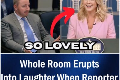 Whole Room Erupts Into Laughter When Reporter Said This To Karoline