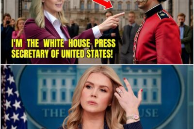 It was supposed to be a routine diplomatic visit—until it wasn’t. As Karoline Leavitt stepped forward in her striking red dress, the Royal Guard refused to salute. Gasps rippled through the crowd. What she did next didn’t just stun Buckingham Palace—it set off a firestorm heard across two continents…