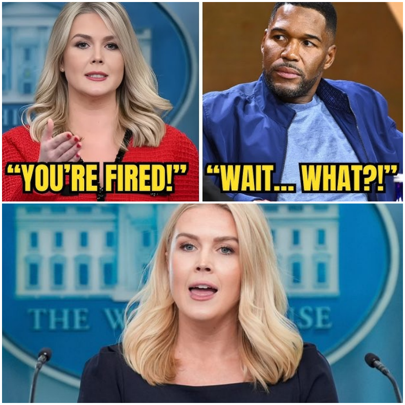 BREAKING DRAMA! KAROLINE LEAVITT’S HILARIOUS ONAIR SLAUGHTER OF(02)