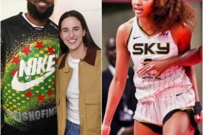 The Entire Internet Is BLASTING LeBron James After WNBA Fans Call Him A “Race Traitor”