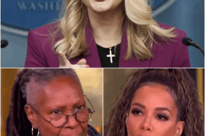 EXCLUSIVE: The View IMPLODES After Karoline Leavitt’s Legal Victory — First Host OUT!