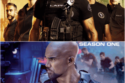 S.W.A.T. LIVES ON! Shocking Spinoff Revealed After Finale — Shemar Moore Returns as Hondo in Bold New Chapter