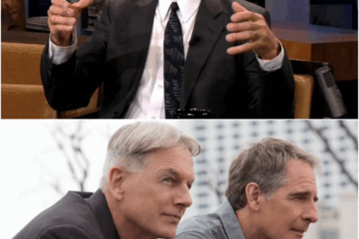 Mark Harmon Almost Said NO To ‘NCIS’ — Here’s What Changed His Mind