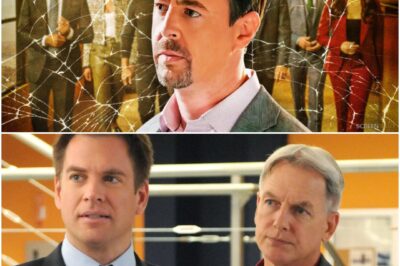 NCIS Boss Drops Bombshell: McGee’s Deputy Director Ambitions Were Never Real — Here’s Why