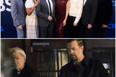 NCIS Fans STUNNED by What Gary Cole Just Did as Parker—“Better Than Gibbs?