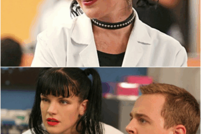 She Played A Criminologist On ‘NCIS’ — What She Does In Real Life Will Blow Your Mind