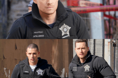 Jay Halstead’s Exit EXPLAINED: Jesse Lee Soffer Spills the Truth Fans Never Saw Coming