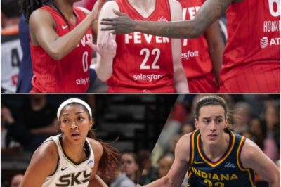 The Indiana Fever Made WNBA History After Demolishing Angel Reese And The Chicago Sky