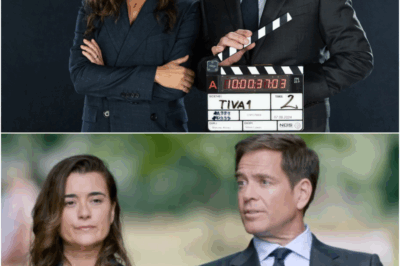 Tony & Ziva Are BACK? NCIS Star Teases ‘Thrilling’ Spinoff Update Fans Can’t Ignore
