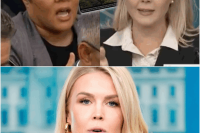 Karoline Leavitt FLIPS the Script on NBC Reporter — Uses AP Photo to TORCH ‘Ridiculous’ South Africa Question