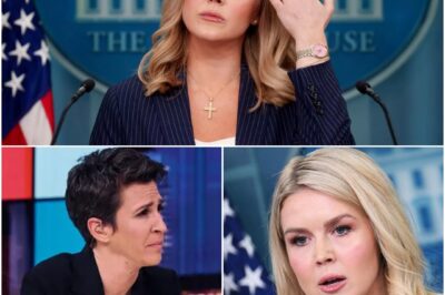 Rachel Maddow Abruptly Halts Interview with Karoline Leavitt—What She Said Off-Camera Has Everyone Talking