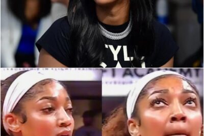 New Video Footage Surfaces With “Monkey” Noises Coming From The Crowd In Indiana During Angel Reese’s Free Throws After WNBA Announces Investigation Following Caitlin Clark Incident