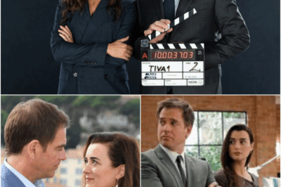 NCIS star gives absolutely thrilling update on release of Tony and Ziva spinoff