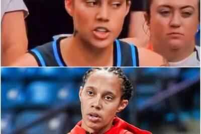 WNBA Fans Want Brittney Griner Investigated Immediately