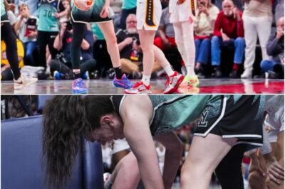 Everyone Is Calling For WNBA Refs To Be Investigated Following Shady Ending To Liberty-Fever Game On Saturday