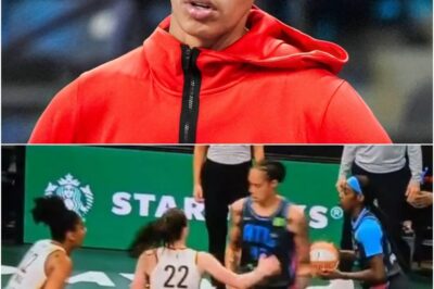 BREAKING: WNBA Fans Demand Brittney Griner Be Investigated IMMEDIATELY After SH0CKING Incident