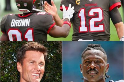 Antonio Brown Delivers The Cold Hard Truth On How He Really Feels About Tom Brady