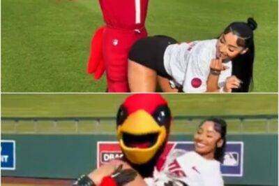 “Pretty Sure He Got Fired For This”: The Entire Internet Couldn’t Believe What Arizona Cardinals Mascot Was Caught On Camera Doing To Rubi Rose (VIDEO)