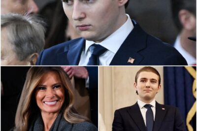 “Harvard Said NO to Barron?” White House SLAMS ‘Lies’ — But Leaked Details Spark New Feud Between Trump & Ivy League