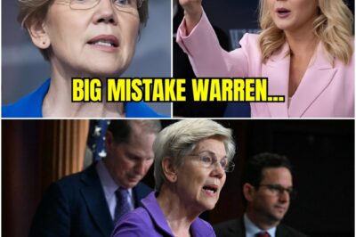 Elizabeth Warren MOCKED Karoline Leavitt Education, Her Response Left The Audience in Shock