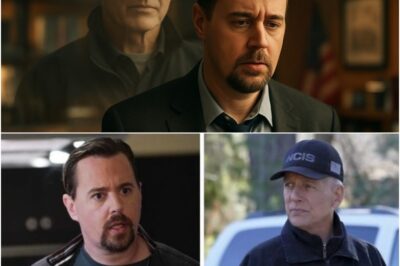 NCIS Hits Fans Right in the Feels With Surprise Gibbs Moment McGee’s Journey Says It All