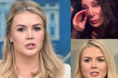 LIVE TV MELTDOWN: Karoline Leavitt vs Cherilyn Sarkisian—The SHOCKING Moment That Left Everyone Speechless! Karoline Leavitt just dropped a BOMB on Cher, and you won’t believe how the iconic star reacted! What was said that turned the debate upside down?