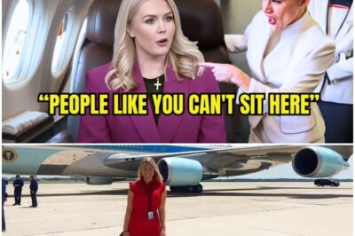 Turbulence at 30,000 Feet: How a VIP Seat Scandal on Patriot Air Changed an Airline—and a Nation