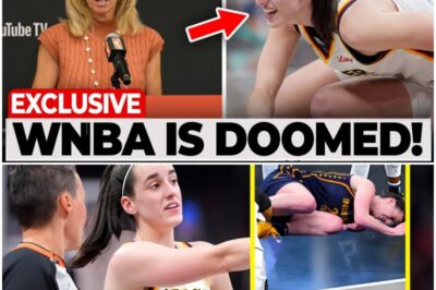 Golden Goose Down: How the WNBA’s Negligence Put Everything at Risk