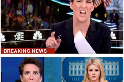The Ultimate Showdown: Caroline Leavitt vs. Rachel Maddow