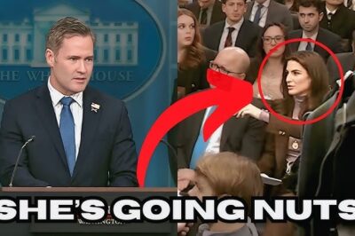 ‘SHE IS THE WORST’ Kaitlan Collins GOES Nuts As Mike Waltz HILARIOUSLY Roasts Her
