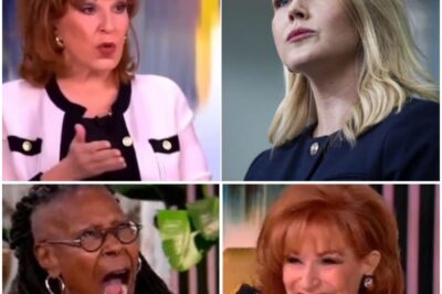 ‘P***ED ME OFF’ The View host Joy Behar hurls SEXIST insult at new WHITE HOUSE Press Secretary Karoline Leavitt