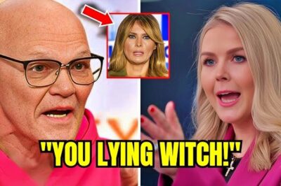 Caroline Levit vs. James Carville: A Clash of Generations