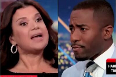 ‘I’M BLACK. YOU’RE NOT’: CNN Segment Descends Into Verbal Fistfight Over Race, Illegal Immigration