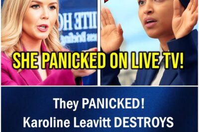 Karoline Leavitt DESTROYS Ilhan Omar & Democrats – They PANICKED!