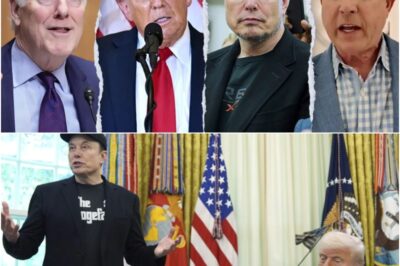 Two GOP senators shared their thoughts on the escalating feud between Elon Musk and President Trump, saying Musk should realize “he’s not the CEO here.”