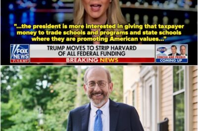 Harvard President Tried To Humiliate Trump But Karoline Leavitt Fires Back With A Brutal Response That Instantly Shuts Him Down And Stuns The Crowd