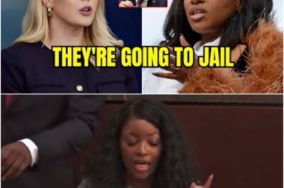 Jasmine Crockett Loses It After Karoline Leavitt Asks Who Was Controlling Biden And The Tense Exchange Instantly Sets Social Media On Fire