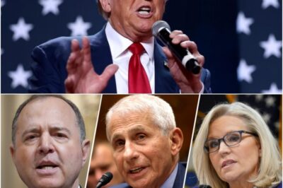 BOOM! Trump Announced He Is Voiding Pardons For Cheney, Schiff, Fauci Among Others!!! See it Below