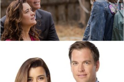 Cote de Pablo at 44 Reveals Who Was the True Love of Her Life and Fans Are Stunned