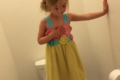 VIDEO: Shocking Close-Up Shows 12ft Python Being Dragged Out Of Family’s Toilet — The Screams And Chaos Are Absolutely Wild