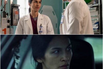 NO WARNING, JUST GONE: Fox Quietly Pulls Plug On ‘The Cleaning Lady’ & ‘Alert’—Inside The Abrupt Decision That’s Left Fans Furious