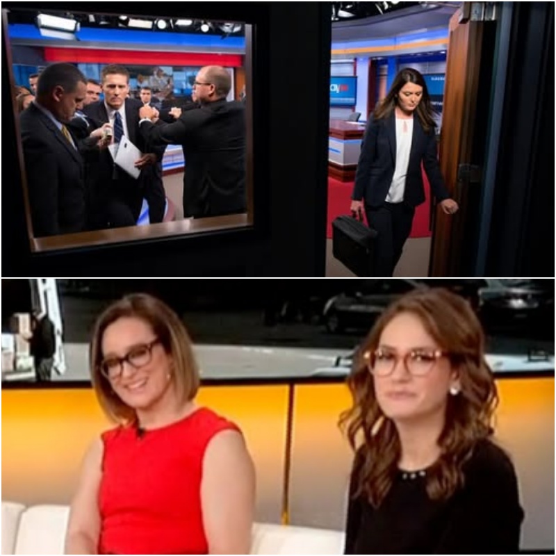 Fox News Meltdown Caught Everyone Off Guard As Emily Compagno Abruptly