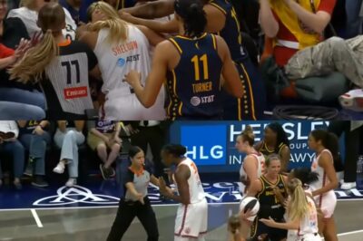 Sophie Cunningham Posts Fiery IG Story After Getting Ejected In Wild Fever Sun Game As Coach Blasts Refs For Losing Control