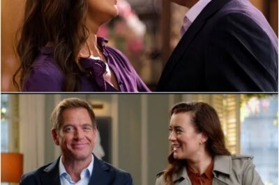 NCIS: Tony & Ziva Is Already Breaking Records for the Franchise and Paramount+ Ahead of Premiere