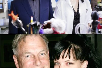 Breaking: Pauley Perrette Just Dropped a Chilling Bomb About Mark Harmon After Leaving NCIS and Fans Are Totally Shocked!